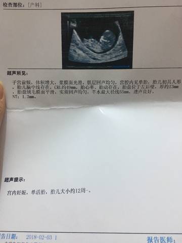 journal_insert_pic_938110886