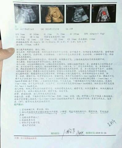journal_insert_pic_937763380