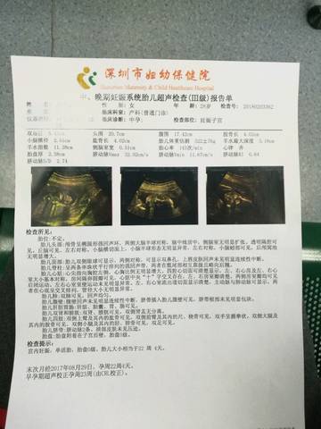 journal_insert_pic_937874118