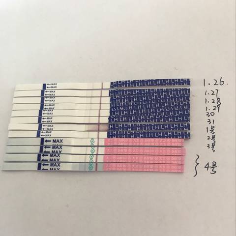 journal_insert_pic_938504639