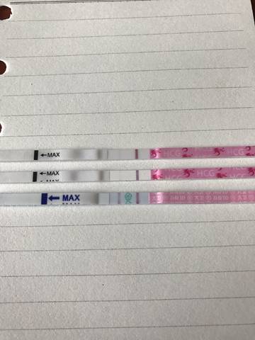 journal_insert_pic_938377417