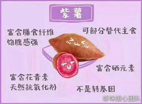 journal_insert_pic_939121374