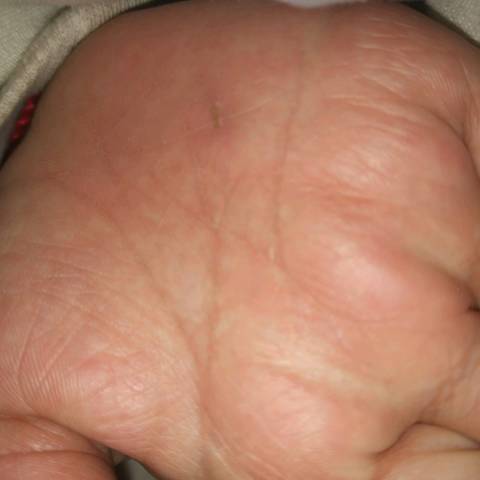journal_insert_pic_939705801