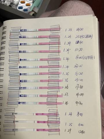 journal_insert_pic_940265286
