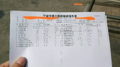 journal_insert_pic_940838445