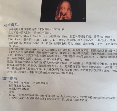 journal_insert_pic_940915580