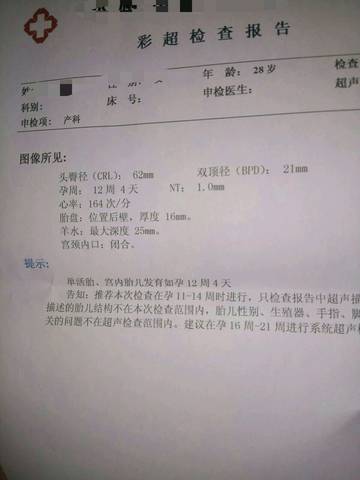 journal_insert_pic_941544068