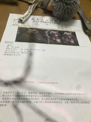 journal_insert_pic_941700033