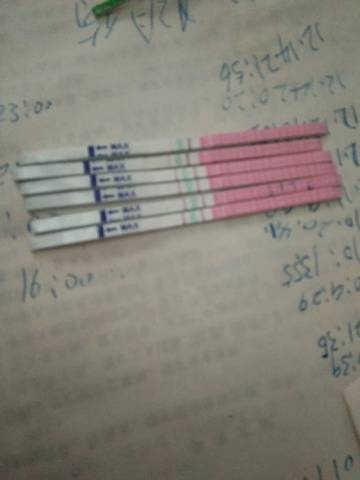 journal_insert_pic_941526564