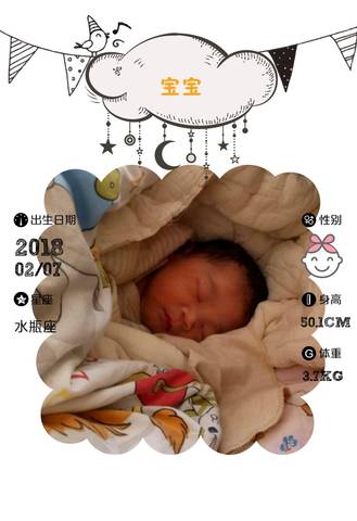 journal_insert_pic_941651596