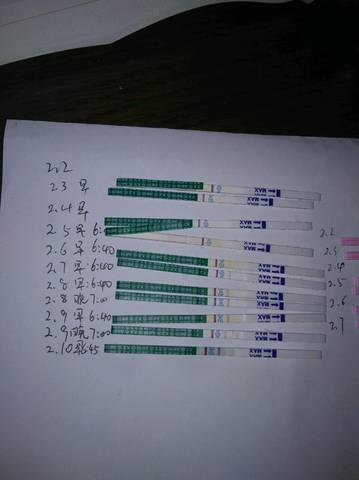 journal_insert_pic_942247220