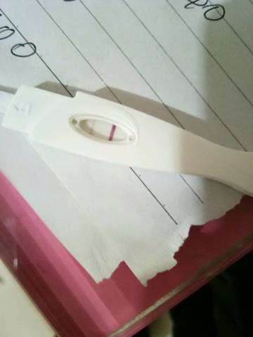 journal_insert_pic_942666573