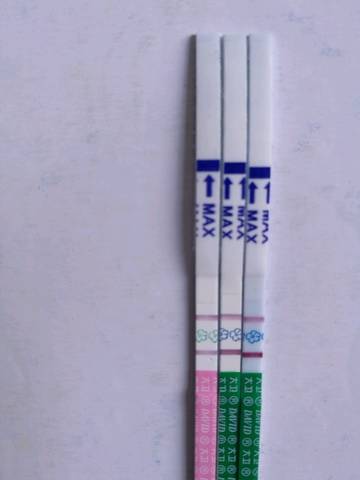 journal_insert_pic_942657788