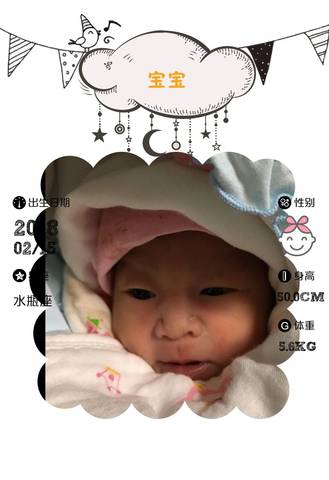 journal_insert_pic_945538924