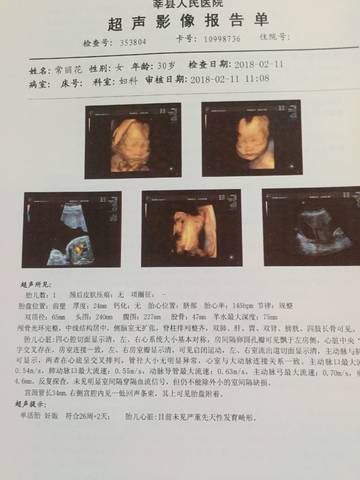 journal_insert_pic_946111575