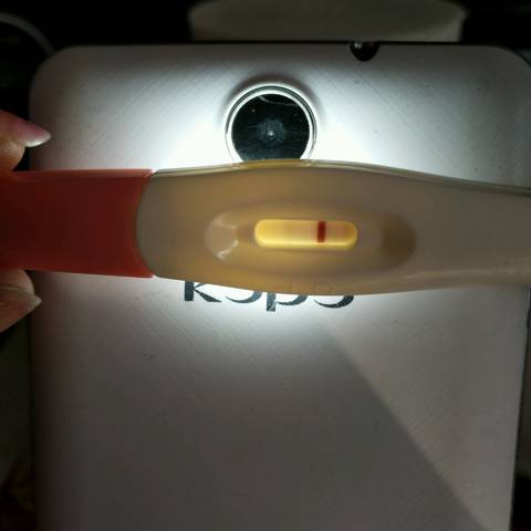 journal_insert_pic_945644467