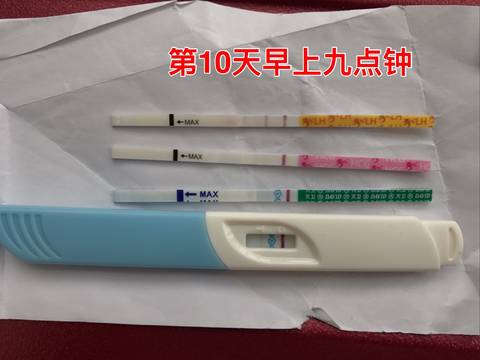 journal_insert_pic_945872265