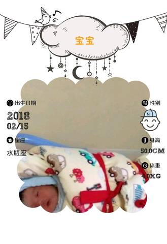 journal_insert_pic_945464401