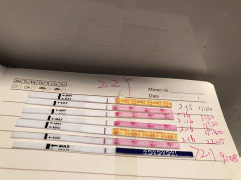 journal_insert_pic_946386483