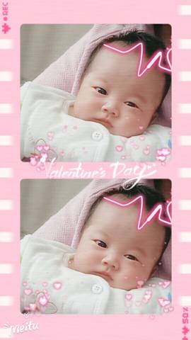 journal_insert_pic_947781463