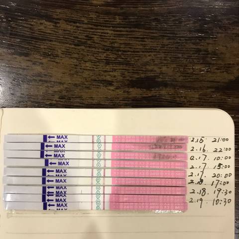 journal_insert_pic_948165170