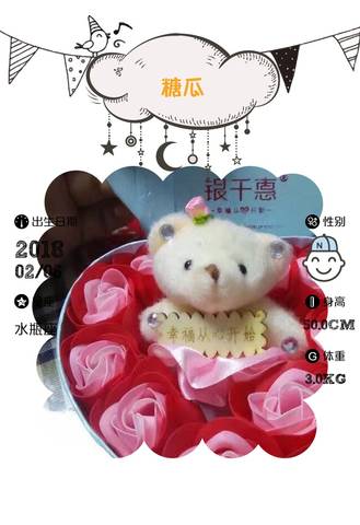 journal_insert_pic_947911255