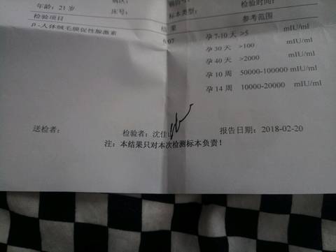 journal_insert_pic_949656131