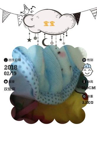 journal_insert_pic_949399181