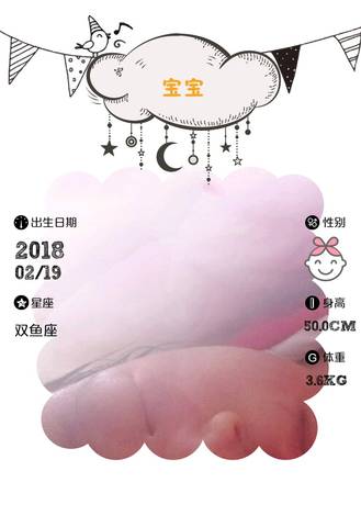 journal_insert_pic_949578272