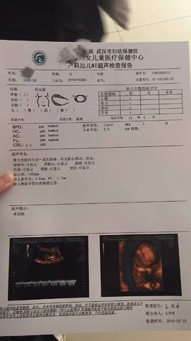 journal_insert_pic_951393595