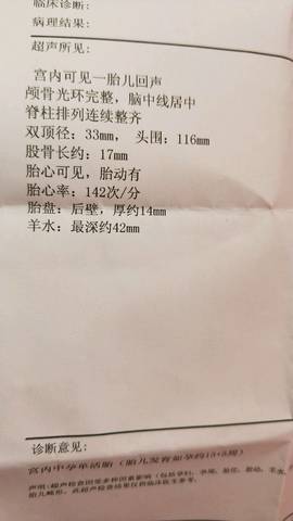 journal_insert_pic_951431832