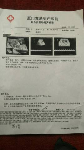 journal_insert_pic_951319964