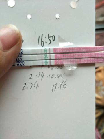 journal_insert_pic_952412290
