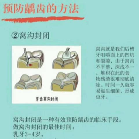 journal_insert_pic_952211931