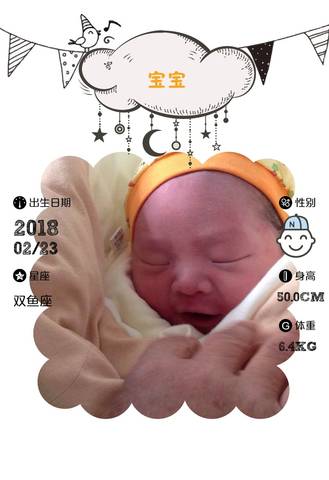 journal_insert_pic_953311653