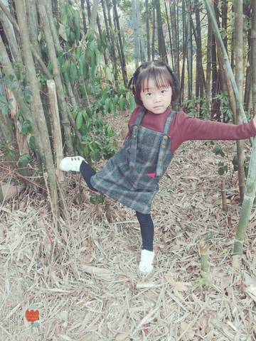 journal_insert_pic_952940428