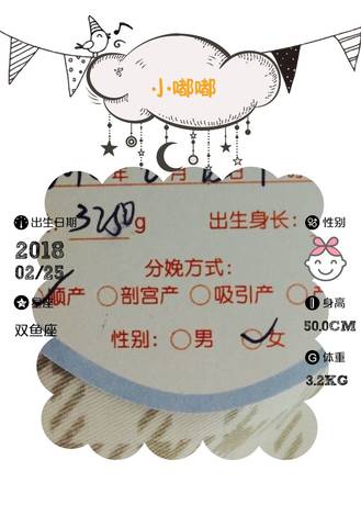 journal_insert_pic_953401258