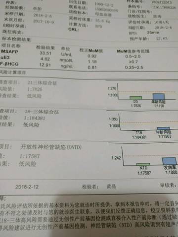journal_insert_pic_954337172
