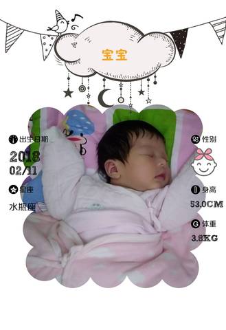 journal_insert_pic_954459145