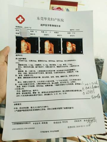 journal_insert_pic_954820881