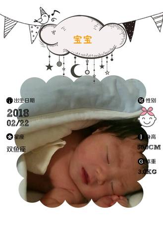 journal_insert_pic_954678459