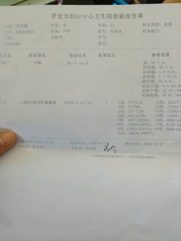 journal_insert_pic_955654216