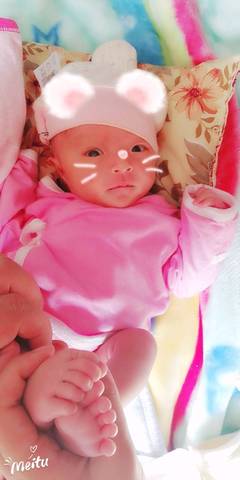 journal_insert_pic_955642465