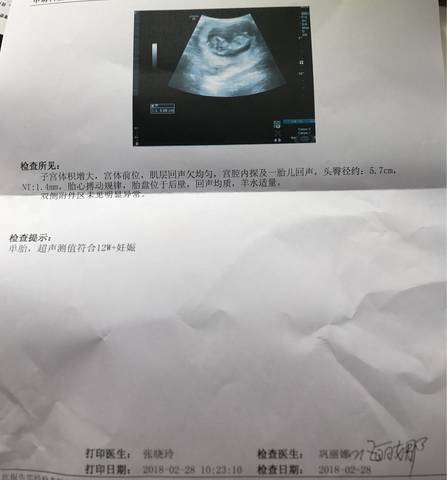 journal_insert_pic_955773102