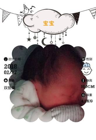 journal_insert_pic_956711875