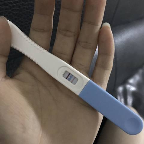 journal_insert_pic_956916060