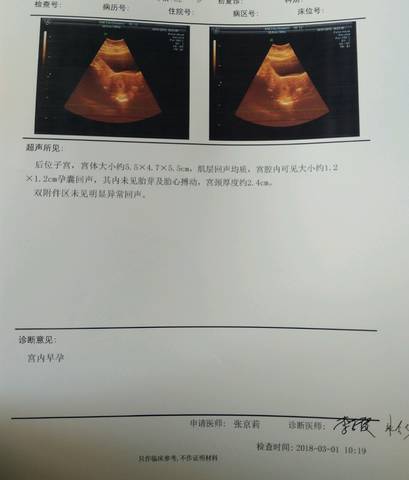 journal_insert_pic_956439195