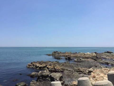 journal_insert_pic_956302121