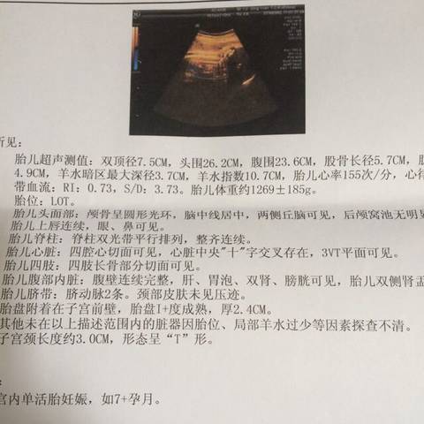 journal_insert_pic_957222507
