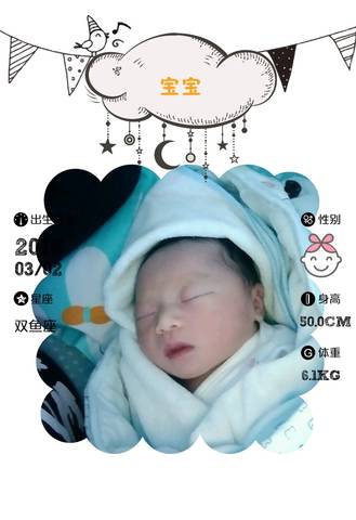 journal_insert_pic_957304504